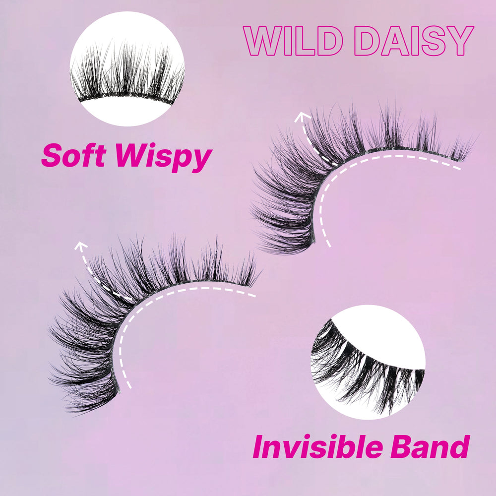 WILD DAISY
