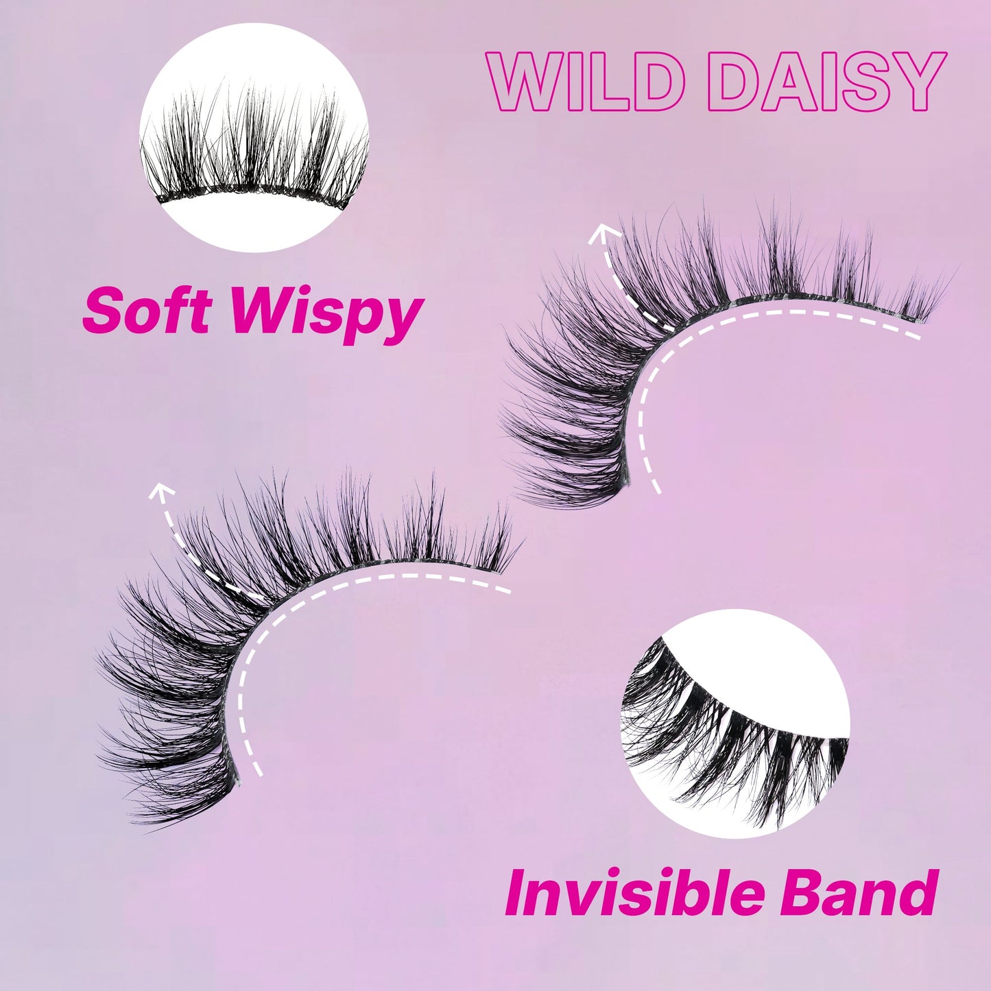 WILD DAISY