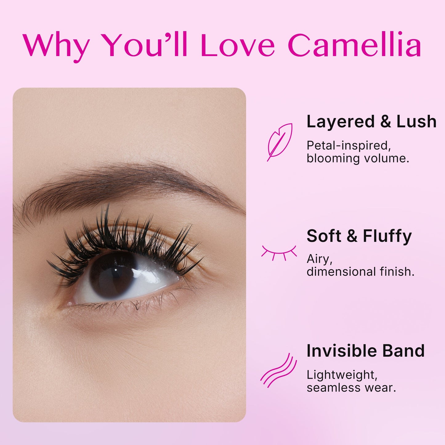 Camellia